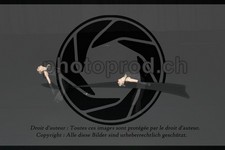 ref. photo 3636904