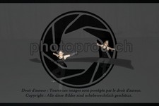 ref. photo 3636906