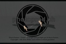 ref. photo 3636907
