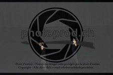 ref. photo 3636909