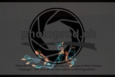 ref. photo 3636951