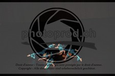 ref. photo 3636952