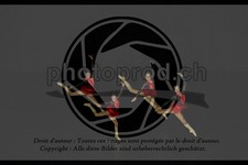 ref. photo 3636980