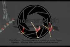 ref. photo 3636991