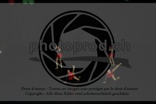 ref. photo 3636998