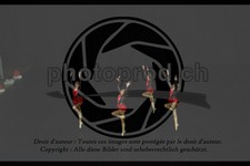 ref. photo 3637000