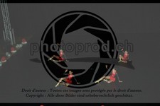 ref. photo 3637010