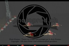 ref. photo 3637011