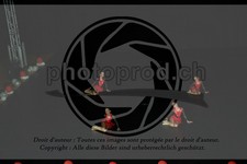 ref. photo 3637012