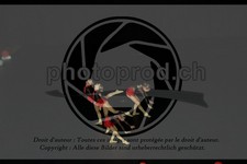 ref. photo 3637017