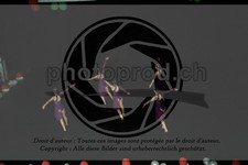 ref. photo 3637082