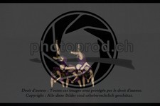 ref. photo 3637093