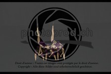 ref. photo 3637094