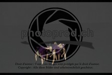 ref. photo 3637095