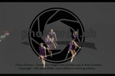 ref. photo 3637114