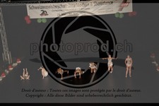 ref. photo 3637183