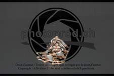 ref. photo 3637213