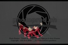 ref. photo 3637297