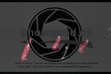 ref. photo 3637312