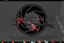 ref. photo 3637330