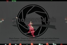 ref. photo 3637335