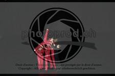 ref. photo 3637371