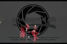 ref. photo 3637373
