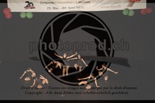 ref. photo 3637534
