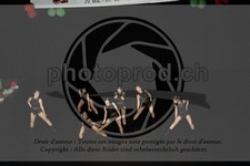 ref. photo 3637561