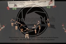 ref. photo 3637566
