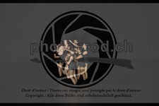 ref. photo 3637590