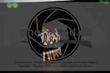 ref. photo 3637593