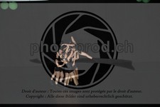ref. photo 3637595