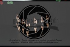 ref. photo 3637601