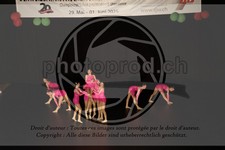 ref. photo 3637889
