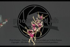 ref. photo 3637932