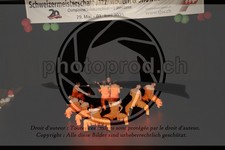 ref. photo 3638051