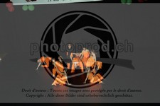 ref. photo 3638054