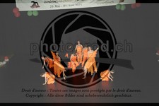 ref. photo 3638056