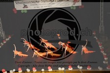 ref. photo 3638064