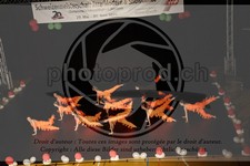 ref. photo 3638065