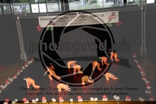 ref. photo 3638089