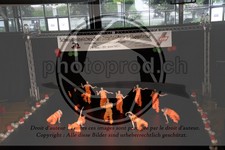 ref. photo 3638101