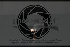 ref. photo 3622985