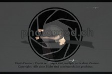 ref. photo 3622998