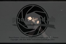 ref. photo 3623004