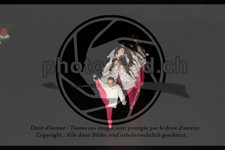 ref. photo 3623267