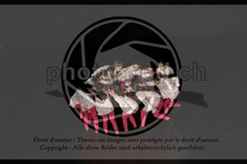 ref. photo 3623294