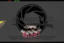 ref. photo 3623336