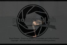 ref. photo 3623481